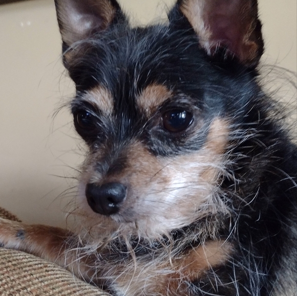 Meet your Posher, Jody - Picture 2 of 3